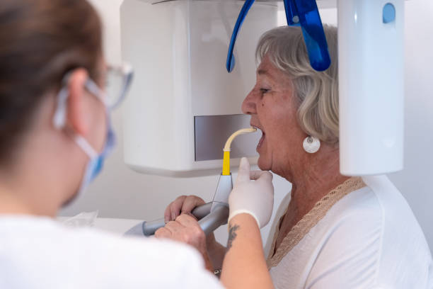 Best Emergency X-Rays and Diagnostics in Salisbury, MD